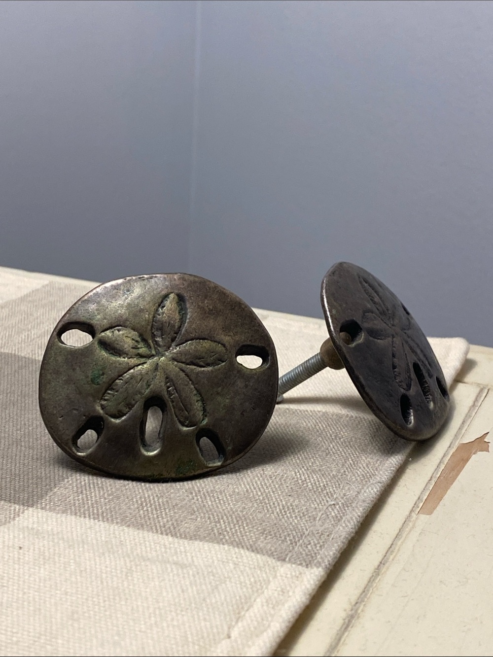 Antique-Style Sand Dollar Drawer Pulls - Dark Bronze Finish